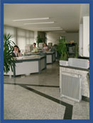 B&uuml;ro mit Mitarbeiterinnen